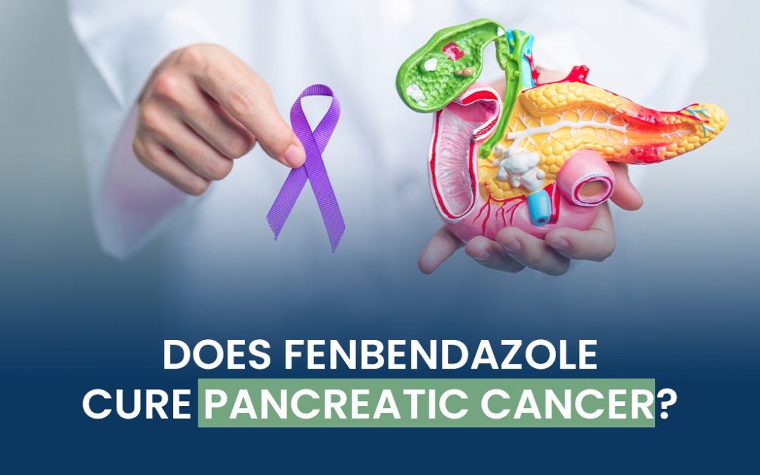 Does Fenbendazole Cure Pancreatic Cancer?
