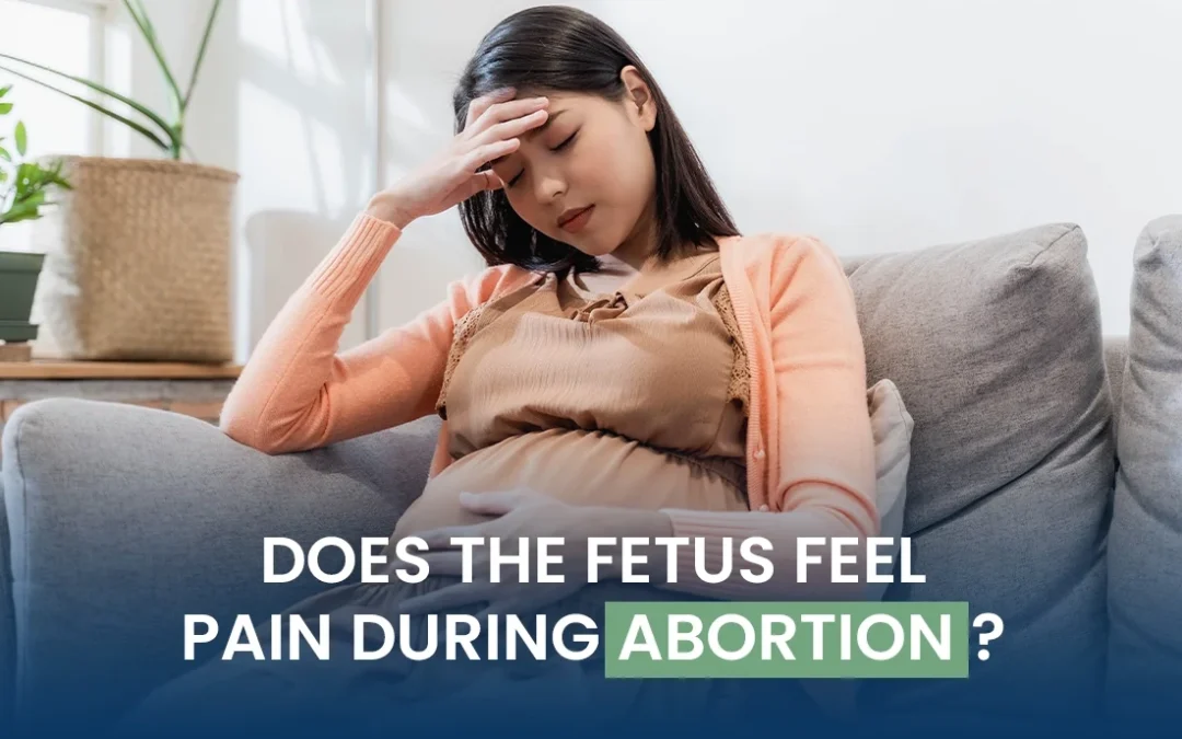 Does the Fetus Feel Pain During Abortion