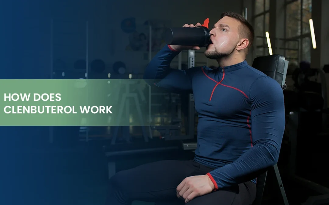 How Does Clenbuterol Work