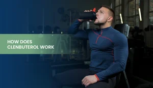 Clenbuterol mechanism explained