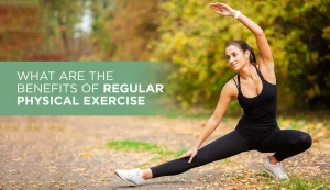 Physical exercise health benefits guide