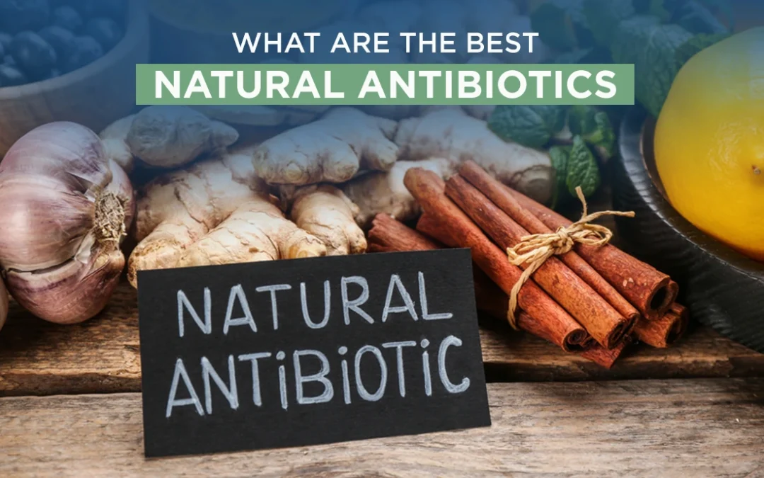 What Are the Best Natural Antibiotics of 2026