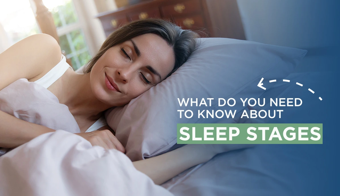 Sleep stages cycle diagram guide