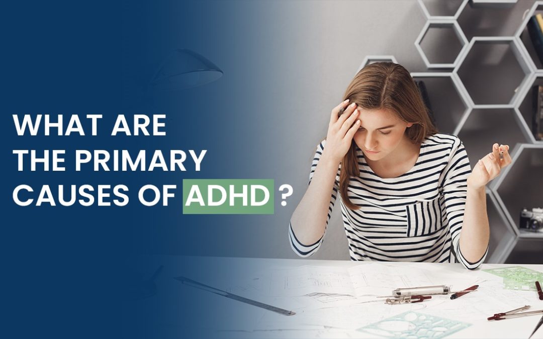 What are the Primary Causes of ADHD?
