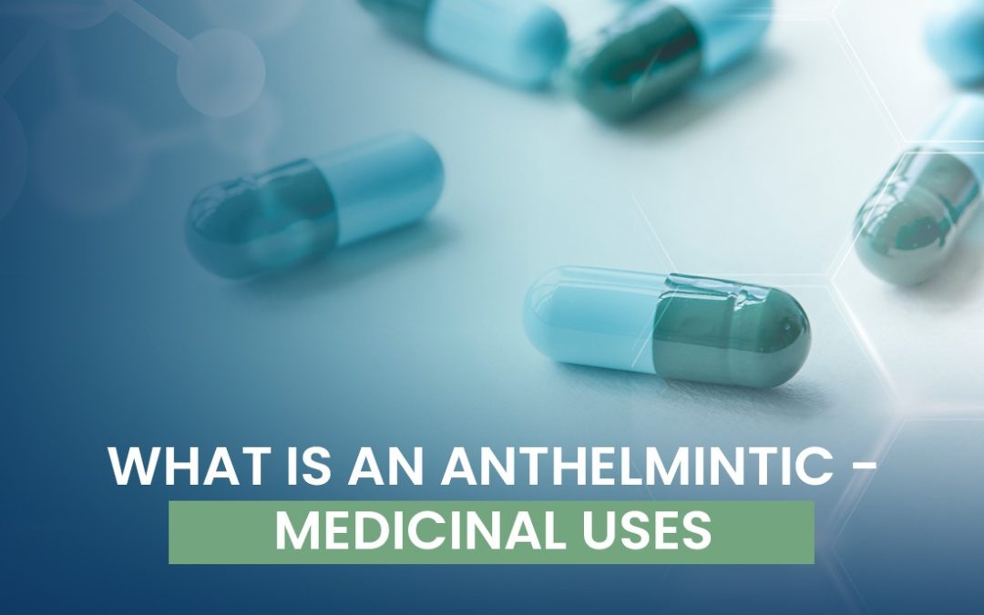 What is An Anthelmintic – Medicinal Uses