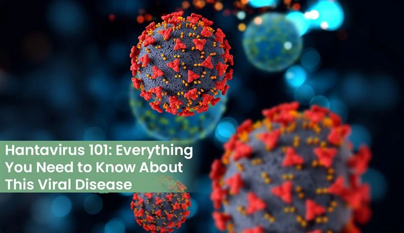 Hantavirus symptoms and prevention guide