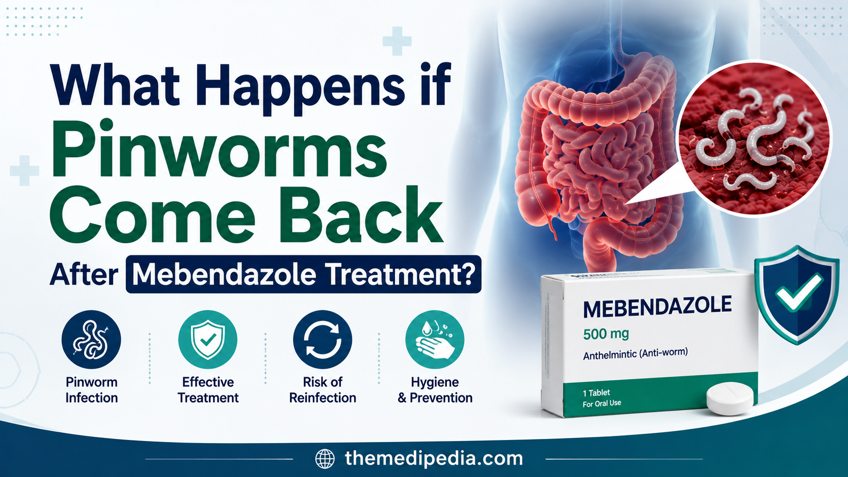 What Happens if Pinworms Come Back After Mebendazole Treatment?